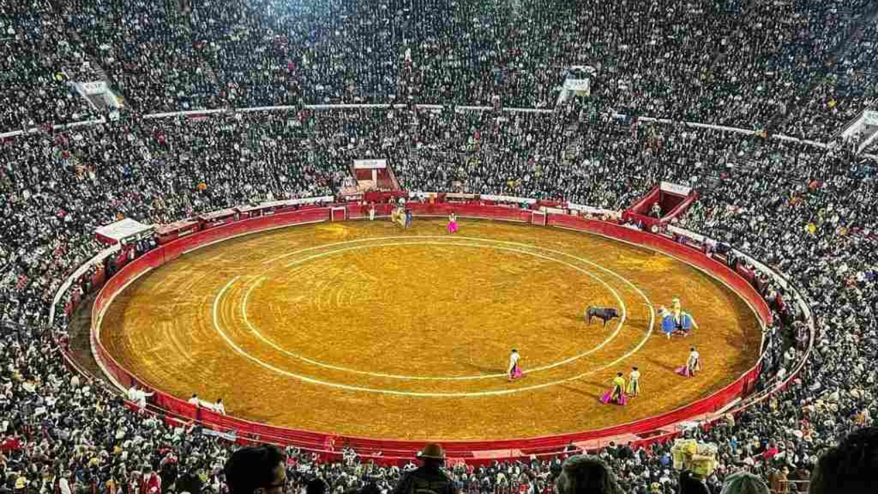 plaza mexico vuelven corridas de toros